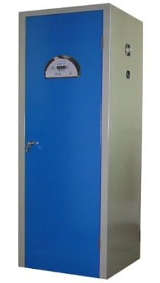 Laboratory Safety Gas Storage Cabinet (PS