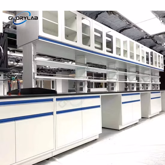 Steel Laboratory Furniture Central Bench with Reagent Shelf Following Sefa8m